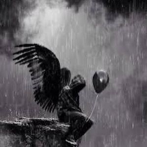 Meet your Posher, Buckz